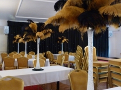 Black and gold feather fantasys with black backdrop
