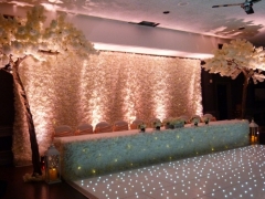 Flower wall with uplighters