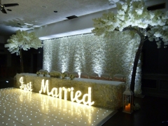 flower wall skirt and Just married sign