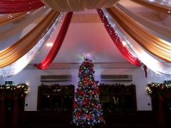 Christmas tree and room drapes