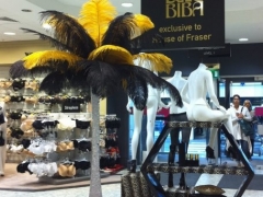 black-and-gold-feathers
